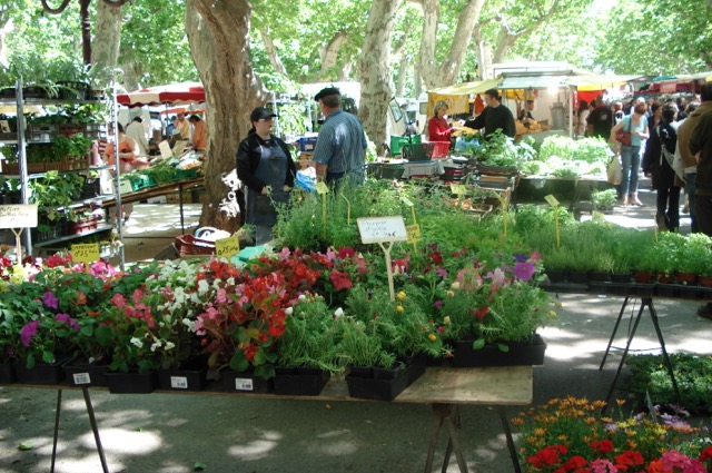 Image No.16-Maison de 3 chambres à vendre à Saint-Chinian