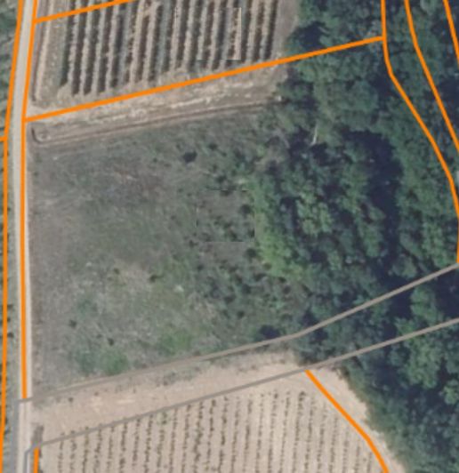 Image No.3-Propriété à vendre à Saint-Geniès-de-Fontedit