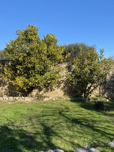 Image No.29-5 Bed Property for sale