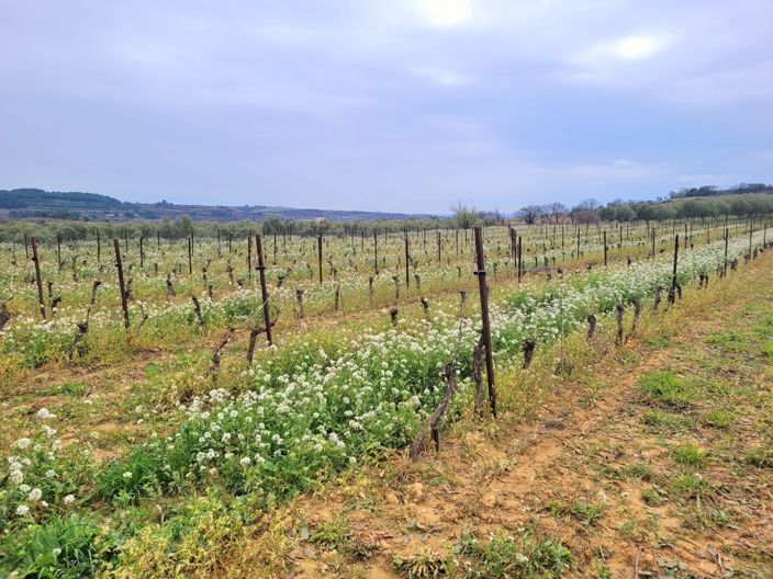 Image No.3-Property for sale