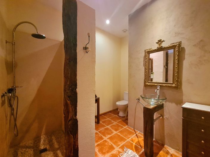 Image No.43-Commercial de 5 chambres à vendre à Castres