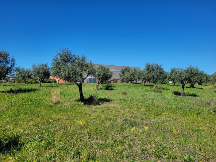 Image No.17-2 Bed Commercial for sale