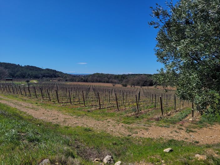 Image No.19-2 Bed Commercial for sale