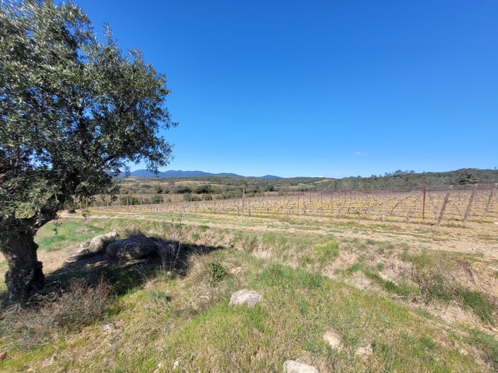 Image No.20-2 Bed Commercial for sale