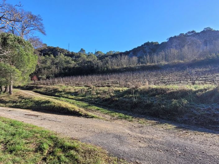 Image No.7-11 Bed Commercial for sale