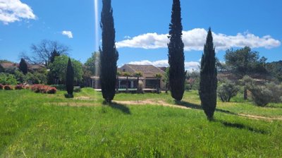 ceb997500ea-1110x623