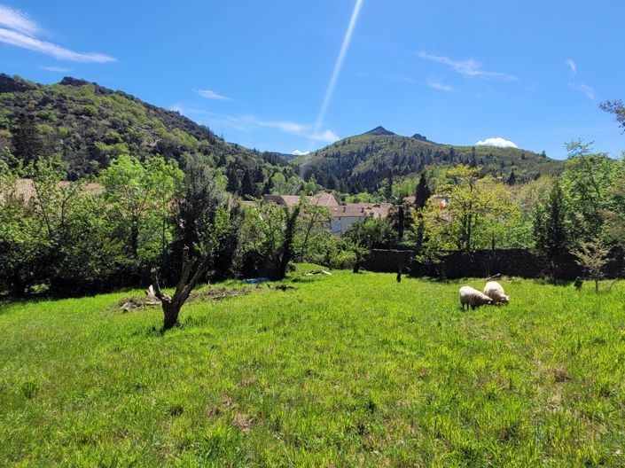 Image No.4-House for sale