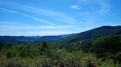 tou162000ef