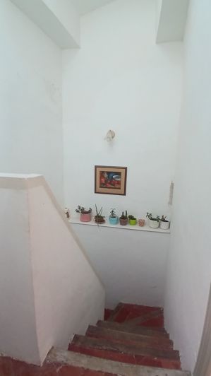 Image No.21-5 Bed House for sale