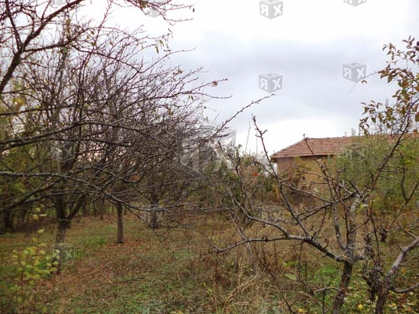 Image No.16-4 Bed House for sale