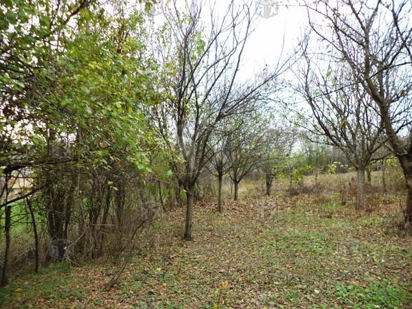 Image No.17-4 Bed House for sale