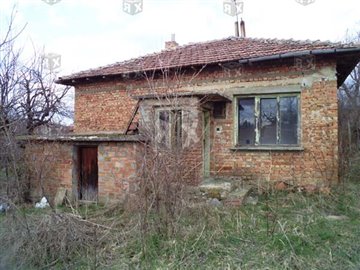 1 - Burya, House