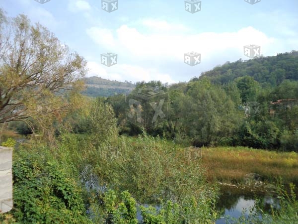 Image No.8-Commercial for sale