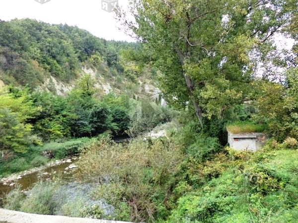 Image No.36-13 Bed Commercial for sale