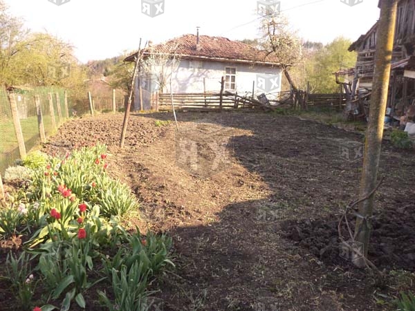 Image No.19-3 Bed House for sale