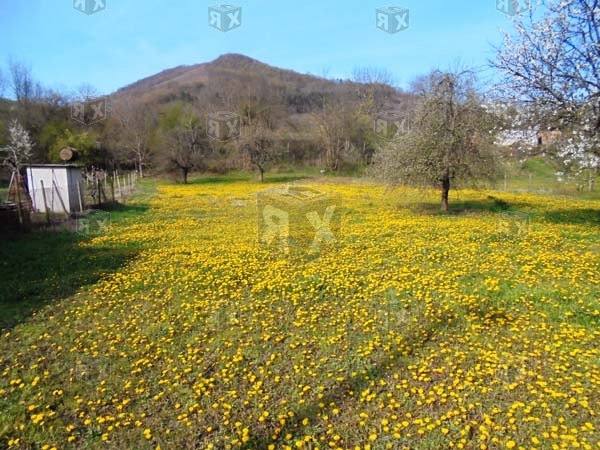 Image No.22-4 Bed Property for sale