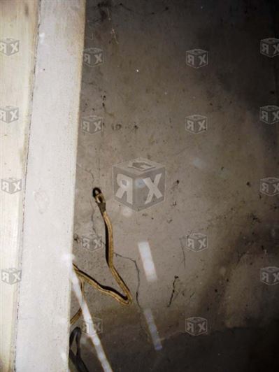 Image No.23-Maison de 3 chambres à vendre à Zdravkovets