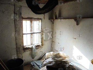 picture75711