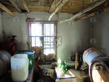 picture75713