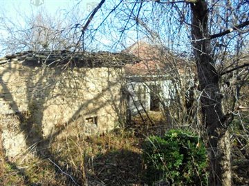 picture75933