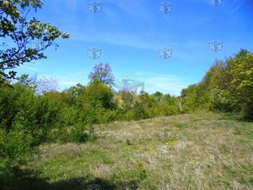 1 - Karaivantsa, Property