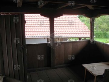 picture81347