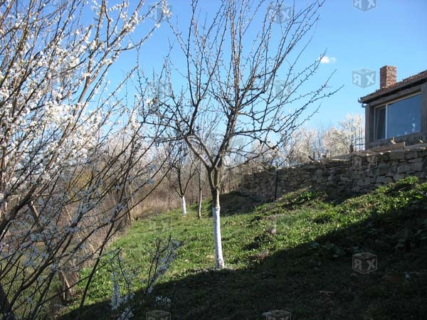 Image No.17-Propriété de 2 chambres à vendre à Pchelishte