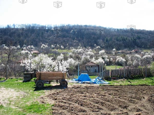 Image No.19-Propriété de 2 chambres à vendre à Pchelishte