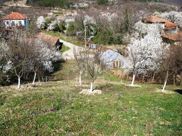 Image No.20-Propriété de 2 chambres à vendre à Pchelishte