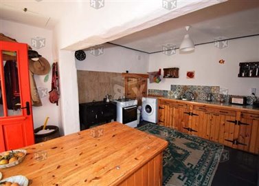 picture97539