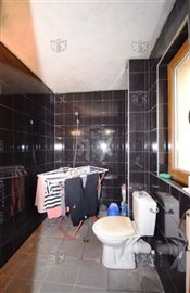 picture98141