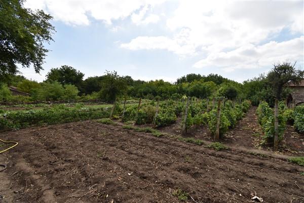 Image No.12-Maison de 3 chambres à vendre à Obedinenie