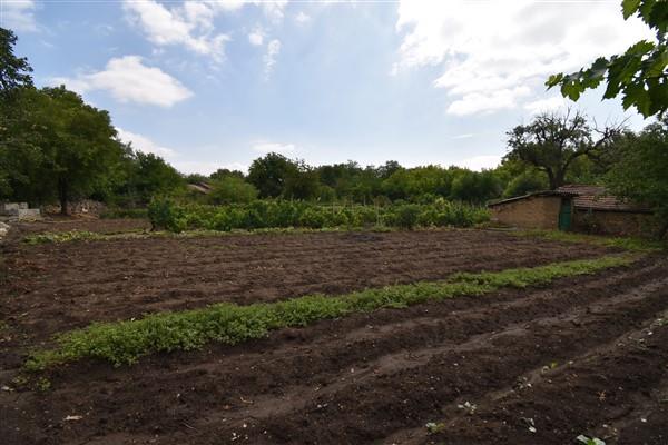 Image No.17-Maison de 3 chambres à vendre à Obedinenie