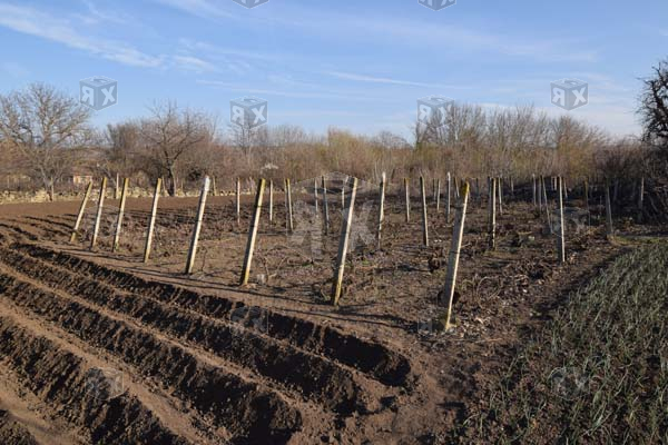Image No.19-Maison de 3 chambres à vendre à Obedinenie