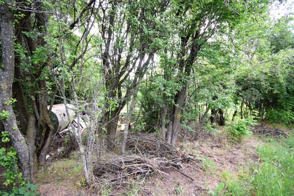 Image No.3-Propriété à vendre à Hotnitsa