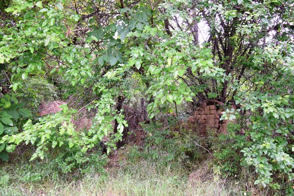 Image No.4-Propriété à vendre à Hotnitsa