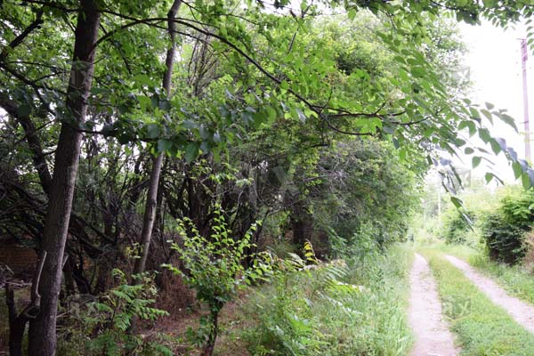 Image No.5-Propriété à vendre à Hotnitsa