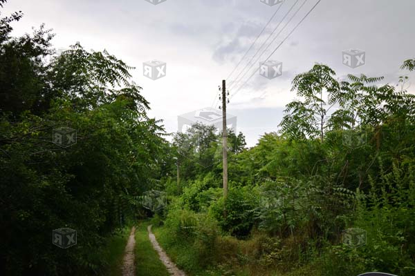 Image No.6-Propriété à vendre à Hotnitsa