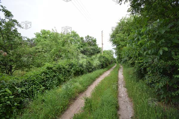 Image No.7-Propriété à vendre à Hotnitsa