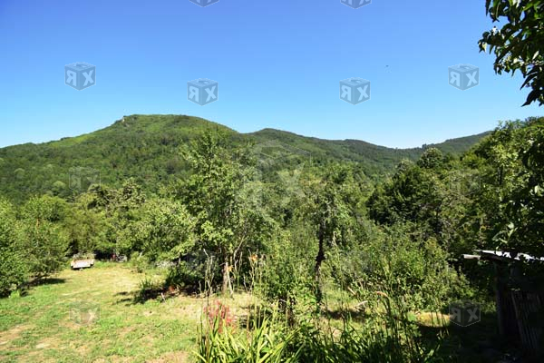 Image No.19-Maison de 3 chambres à vendre à Tryavna