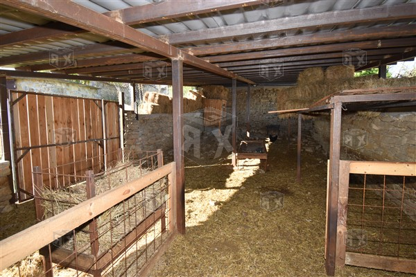 Image No.18-Maison de 5 chambres à vendre à Tserova Koriya