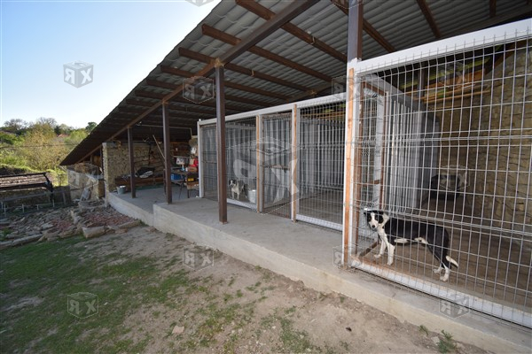 Image No.19-Maison de 5 chambres à vendre à Tserova Koriya