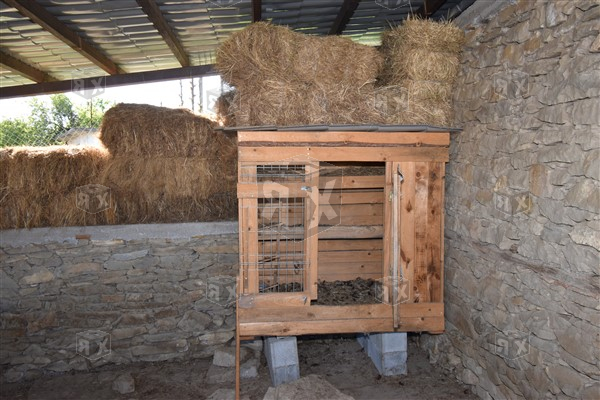 Image No.20-Maison de 5 chambres à vendre à Tserova Koriya