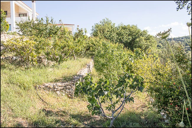 Image No.21-Villa de 3 chambres à vendre à Polis