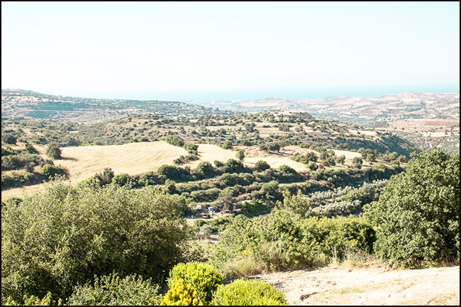 Image No.24-Villa de 3 chambres à vendre à Polis