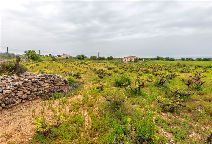 Image No.30-Bungalow de 3 chambres à vendre à Kathikas