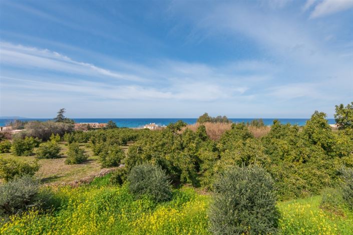 Image No.27-Villa de 4 chambres à vendre à Ayia Marina