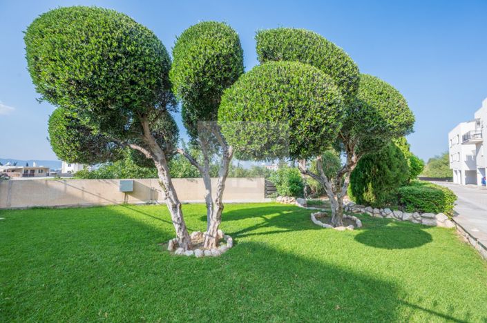 Image No.29-Appartement de 2 chambres à vendre à Polis