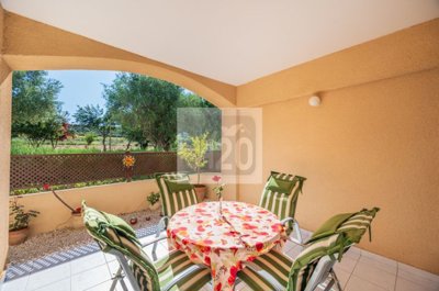 Apartment For Sale  in  Polis