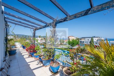 Apartment For Sale  in  Latchi